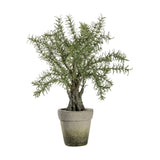 Bring a touch of the garden inside with this lovely faux Potted Rosemary Tree.  In an aged distressed ceramic pot.  