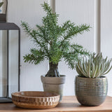 Bring a touch of the garden inside with this lovely faux Potted Rosemary Tree.  In an aged distressed ceramic pot.  