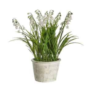 Add a delicate touch of the outdoors to a room with this delightful Potted Lily of the Valley.  Featuring a distressed finish cement pot.