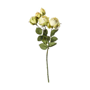 This lovely Rose Spray features five flowers, in different stages of opening to add interest and a realistic look. 