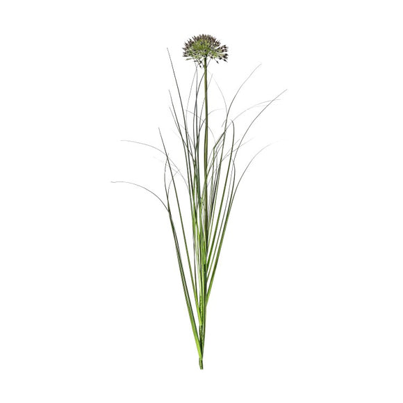 Allium Grass Spray