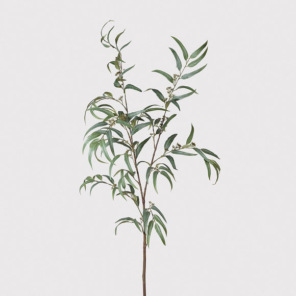 Extra Large Willow Eucalyptus Branch