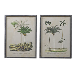Set of 2 Framed Palm Tree Pictures