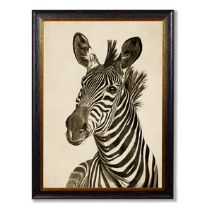 Framed Zebra Print Looking Left