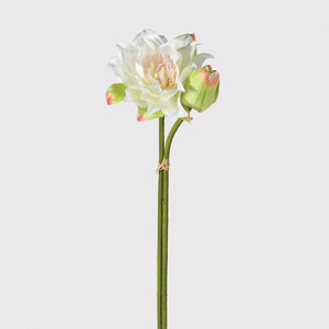 With one closed bud and a beautifully open waterlily flower, this set of two stems look extremely realistic.
