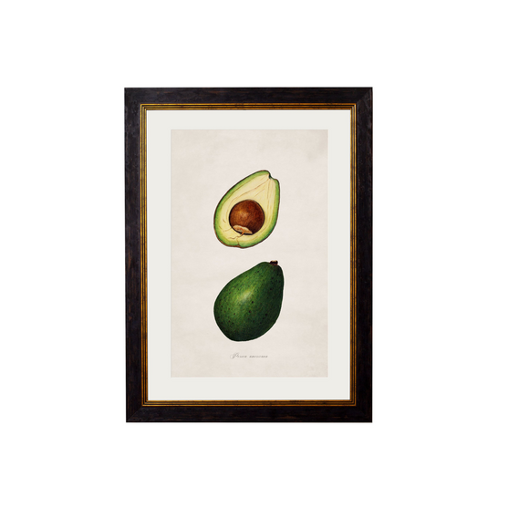 Framed Avocado Print