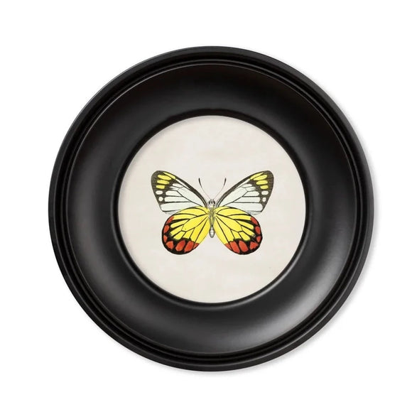 Framed Yellow & Red Butterfly Print